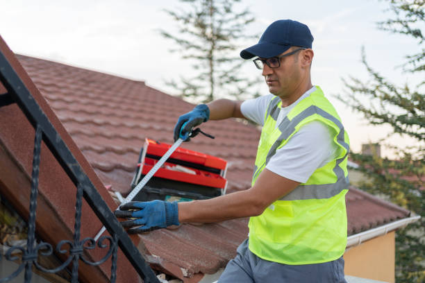 Best Blown-In Insulation  in Pquemine, LA